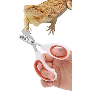 Stainless Steel Bearded Dragon Nail Clippers,Lizard Nail Clippers,Bearded Dragon Supplies,Bearded Dragon Nail Scissors for Small Reptiles,Turtle,Chameleon,Iguana，Hedgehog（Orange）