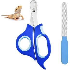 الملحقات الملحقة Dragon Dragon Nail Clippers ، الفولاذ المقاوم للصدأ الملتحي ، تنين ، كليبرز الأظافر مع الحواف الزاوية الدقيقة ، أداة الحيوانات الأليفة الاحترافية لزواحف الكليبرز ، التنين الملتحي