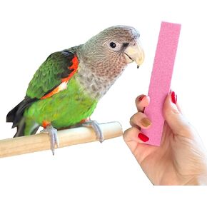 Parrot Nail Trimmer Stone for Grooming Parrot Claws