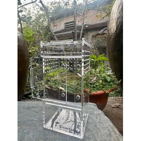 Jumping Spider Enclosure,Arboreal Tarantula Enclosure,Spider Habitat,Praying Mantis Habitat,Frog Enclosure,Insect Terrarium Bug Enclosure,Acrylic Terrarium（3 * 3 * 6inch）