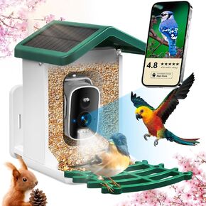 Smart Bird Feeder with Camera, Birds Feeders for Outdoors with AI Identify Species Solar Panel, Smart Bird House with Live View, Ideal Gift for Family and Birds Lovers, Green