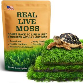 Live Moss for Reptiles – Real Fresh Moss (3.5" x 7", 3-Pack) – Soft, Green & Moisture-Retaining – Ideal for Terrariums, Tanks, Bonsai & Vivariums – Reusable Alternative to Sphagnum Moss