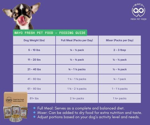 Frozen Fresh Human-Grade Meals for Dogs | Dog Food | Grass-Fed Premium Meat |All Life Stages |High-Protein, Ready-to-Serve|No Fillers or Art. Additives (7 Pack - 12 Oz, Turkey -7 Pack) in Saudi Arabia