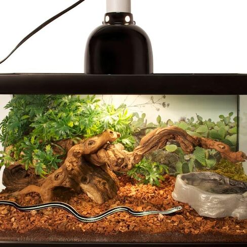 Zoo Med Premium Repti Bark in Kuwait