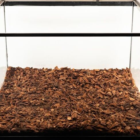 Zoo Med Premium Repti Bark in Kuwait
