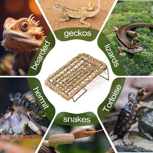 Adjustable Bearded Dragon Hammock – Natural Seagrass Reptile Hammock with Collapsible Metal Legs – Lizard Hammock for Bearded Dragon, Gecko, Snake, Frog, Hermit Crab(Rectangle) in Saudi Arabia