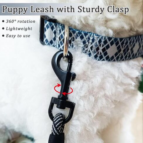 WYuZe 5/10/16 FT Puppy Leash for Small Dogs Cat, 1/4" Thin Black Rope Leash in Saudi Arabia