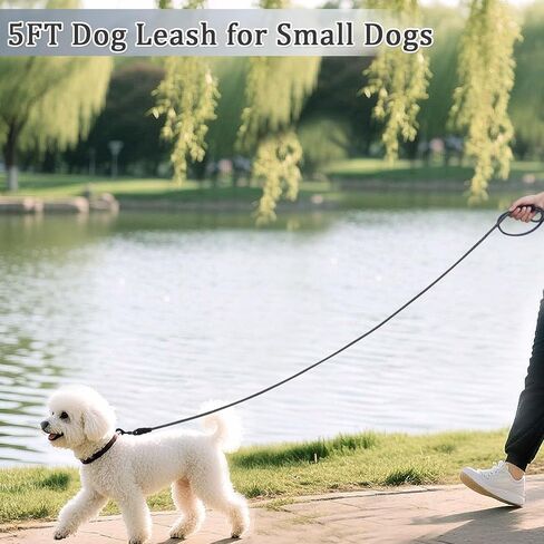 WYuZe 5/10/16 FT Puppy Leash for Small Dogs Cat, 1/4" Thin Black Rope Leash in Saudi Arabia