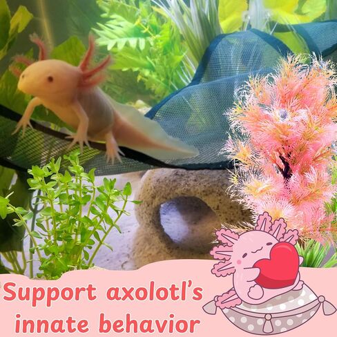 Axolotl Hammock for Aquarium with Feeding Dish, Axolotl Hammock with Food Bowl Tray Feeder, Breathable Mesh Reptile Hammocks Lounger Ladder, Bearded Dragon Tank Accessories (Black, M) in Saudi Arabia