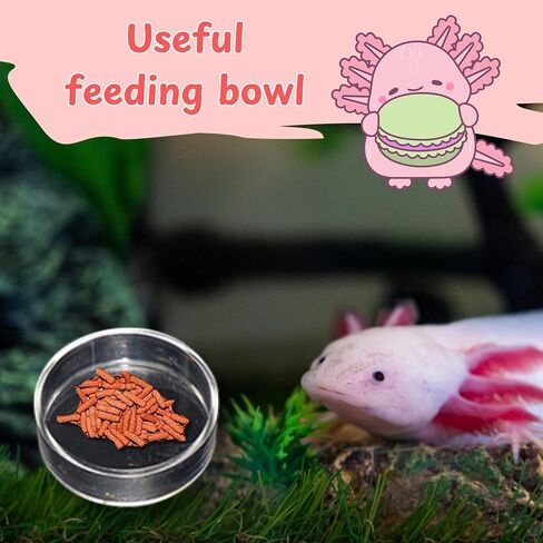 Axolotl Hammock for Aquarium with Feeding Dish, Axolotl Hammock with Food Bowl Tray Feeder, Breathable Mesh Reptile Hammocks Lounger Ladder, Bearded Dragon Tank Accessories (Black, M) in Saudi Arabia