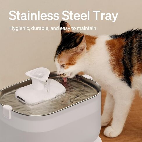 PETLIBRO Cat Water Fountain, Wireless Pump Cat Fountain, 2.5L/84oz Pet Water Fountain for Cats Indoor Stainless Steel, Cat Water Dispenser with Two Flow Modes, Pet Fountain for Drinking Easy Clean in Kuwait