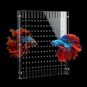 Aquarium Divider Clear 10/15/20 Gallon Fish Tank Divider with Suction Cups (10 Gallon)