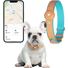 2-in-1 GPS Tracker for Dogs: Smart Twith مع موقع في الوقت الفعلي ، لا توجد رسوم شهرية ، ومجموعة غير محدودة (iOS فقط) طوق الكلاب GPS-مثالي للكلاب الصغيرة الكبيرة المتوسطة (شملت تعقب) (بني) (بني) (بني)