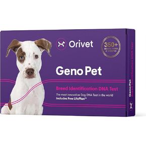 Orivet Genopet Dog DNA Test - Dog Breed Test Kit USA | الكلاب الأصول والفحص الصحي الوراثي حسب العمر والوزن والجنس | مسحة في المنزل | نتائج بعد 14 يومًا من التنشيط