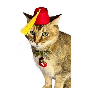 Fez for your Cat, mini Fez hat for Dog or Pet Play as Doctor who wears a Fez