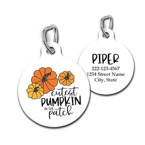 Cutest Pumpkin In The Patch Pet Id Tag Personalized Charm for Cats and Dogs Fall Autmn