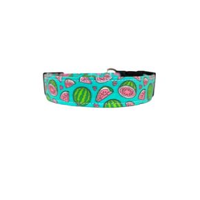 The Watermelon Dog Collar (Medium (1" wide))