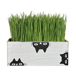 Black Cat Planter, Wood Planter Box, Cat Mom, Cat Lovers Decor, Catnip, Mother's Day Gift