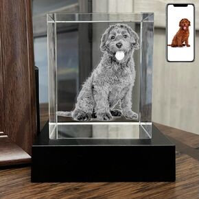 3D Crystal Photo, Personalized Dog, Cat Memorial Gifts for Pet Owners. Gift Box Included, Customized Laser Etched Crystal Photo (Small Portrait)