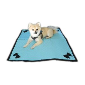 Quilted 24" X 28" Blanket Mat Padding Protector for Small Dogs in Aqua Blue (Set of 2)