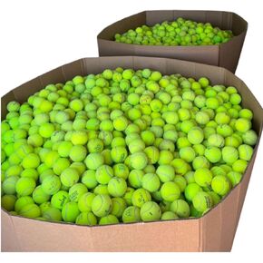 25-100 Used Tennis Balls for Dogs - Support USA Tennis Ball Recycling NonProfit: Bulk Tennis Balls for Dogs, Tennis Balls for Dogs Bulk, Dog Tennis Balls Bulk, Tennis Balls Bulk for Dogs (25 Balls) in Saudi Arabia