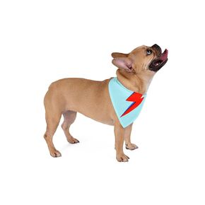 Bowie Ziggy Stardust Pet Bandana for Dogs and Cats- 2 Sizes (21x11 inch (53.3 x 27.9cm))
