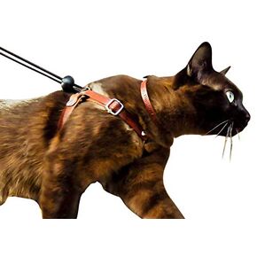 The OutBound Escape Proof Cat Harness in Warm Brown | Luxury | Leather | Handmade