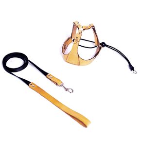 Luxury Leather Harness and Leash Set for Cats and Small Dogs