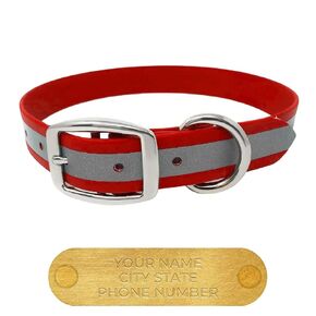 Regal Dog Products Medium Orange Reflective Dog Collar with Custom Engraved Name Plate | Waterproof Biothane Personalized Dog Collars with D Ring & Double Buckle - Other Sizes for Small & Large Dogs