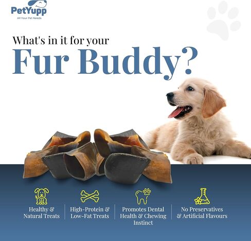 Water Buffalo Hooves for Dogs | Pack of 10 | All Natural, High Protein, Low Fat & Easy to Digest Dog Chews for Large Dogs & Aggressive Chewers | Promotes Dental Health & Chewing Excersice in Kuwait