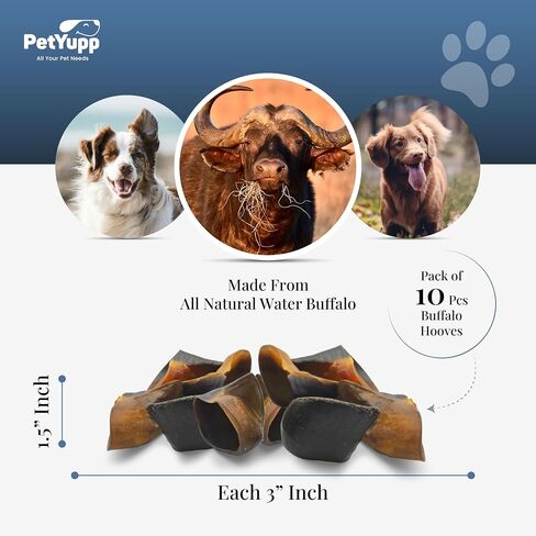 Water Buffalo Hooves for Dogs | Pack of 10 | All Natural, High Protein, Low Fat & Easy to Digest Dog Chews for Large Dogs & Aggressive Chewers | Promotes Dental Health & Chewing Excersice in Kuwait