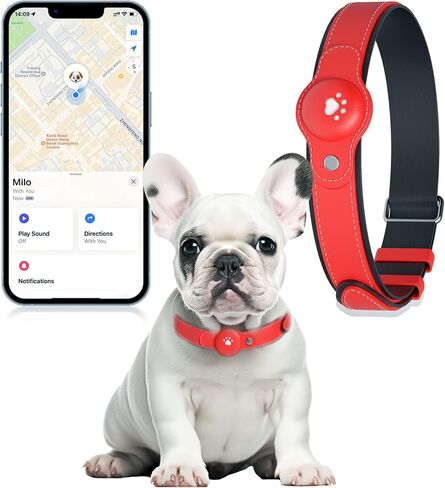 2-in-1 GPS Tracker for Dogs: Smart Collar with Real-Time Location, No Monthly Fee, Unlimited Range (iOS Only) GPS Tracker Dog Collar- Ideal for Small, Medium Large Dogs(Tracker Included)(Green) in Saudi Arabia