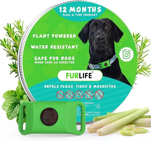 FurLife Green Dog Tag, Flea and Tick Prevention for Dogs - Waterproof Pendant for Collar, Safe for All Breeds in Saudi Arabia