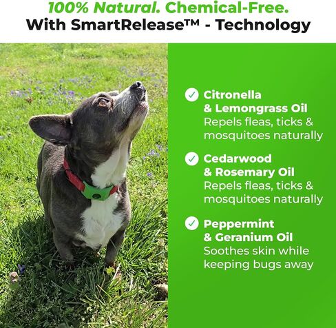 FurLife Green Dog Tag, Flea and Tick Prevention for Dogs - Waterproof Pendant for Collar, Safe for All Breeds in Saudi Arabia
