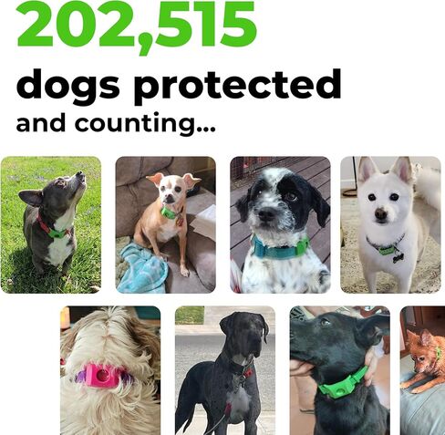 FurLife Green Dog Tag, Flea and Tick Prevention for Dogs - Waterproof Pendant for Collar, Safe for All Breeds in Saudi Arabia