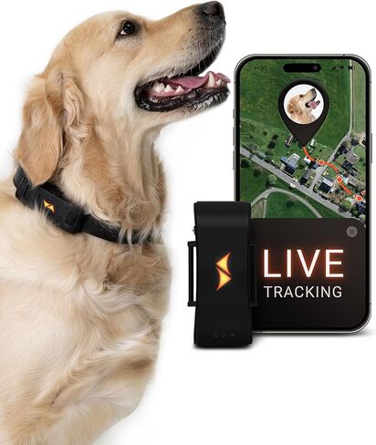 PAJ GPS Dog Tracker - 4G Real-Time Tracking & Runaway Alerts - Waterproof, Long-Range, Smart App Monitor Health & Activity - Fits Any Collar, Mini Device Navigator Chip - Subscription Required - Black in Kuwait