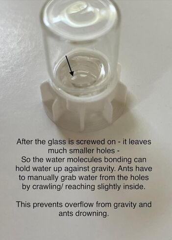 2mL SET OF 6 Water Feeders, 3D printed for Ant farms Ants Queen Small species colony (Gray) in Saudi Arabia