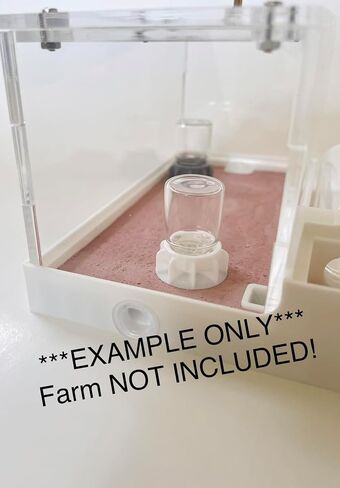 2mL SET OF 6 Water Feeders, 3D printed for Ant farms Ants Queen Small species colony (Gray) in Saudi Arabia