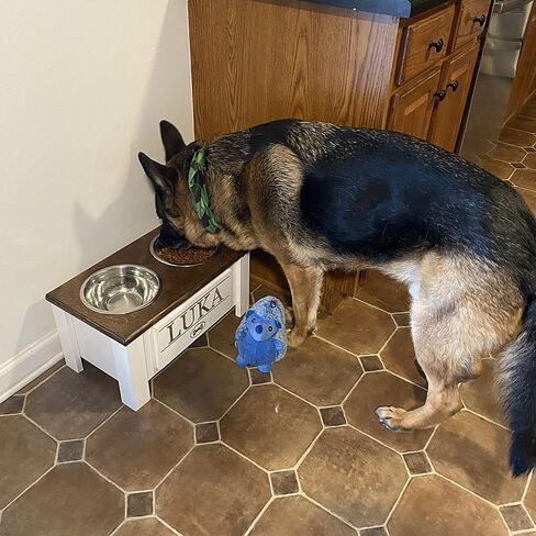 Personalized Elevated Dog Bowl Stand for Large, Medium, Small, X-Small Dogs - Stainless Steel Food and Water Bowls - Raised Dog Dish with Internal Storage (Large, Dark Walnut) in Kuwait