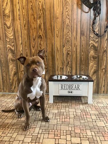 Personalized Elevated Dog Bowl Stand for Large, Medium, Small, X-Small Dogs - Stainless Steel Food and Water Bowls - Raised Dog Dish with Internal Storage (Large, Dark Walnut) in Kuwait