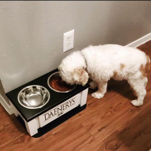 Personalized Elevated Dog Bowl Stand for Large, Medium, Small, X-Small Dogs - Stainless Steel Food and Water Bowls - Raised Dog Dish with Internal Storage (Large, Dark Walnut) in Saudi Arabia