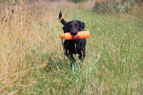 Dog Bumpers - Standard Plastic Training Bumper with Throw Rope - Retrieving Dummy for Duck Dog Hunting - Highly Visible Float Toy in Orange in Saudi Arabia