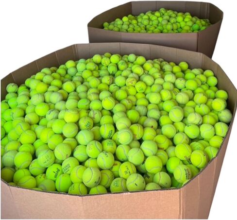 25-100 Used Tennis Balls for Dogs - Support USA Tennis Ball Recycling NonProfit: Bulk Tennis Balls for Dogs, Tennis Balls for Dogs Bulk, Dog Tennis Balls Bulk, Tennis Balls Bulk for Dogs (25 Balls) in Saudi Arabia