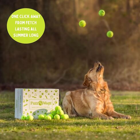 25-100 Used Tennis Balls for Dogs - Support USA Tennis Ball Recycling NonProfit: Bulk Tennis Balls for Dogs, Tennis Balls for Dogs Bulk, Dog Tennis Balls Bulk, Tennis Balls Bulk for Dogs (25 Balls) in Saudi Arabia