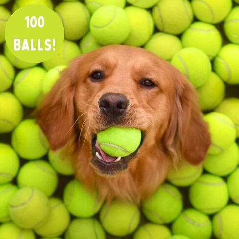 25-100 Used Tennis Balls for Dogs - Support USA Tennis Ball Recycling NonProfit: Bulk Tennis Balls for Dogs, Tennis Balls for Dogs Bulk, Dog Tennis Balls Bulk, Tennis Balls Bulk for Dogs (25 Balls) in Saudi Arabia