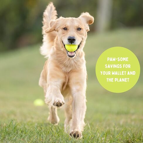 25-100 Used Tennis Balls for Dogs - Support USA Tennis Ball Recycling NonProfit: Bulk Tennis Balls for Dogs, Tennis Balls for Dogs Bulk, Dog Tennis Balls Bulk, Tennis Balls Bulk for Dogs (25 Balls) in Saudi Arabia