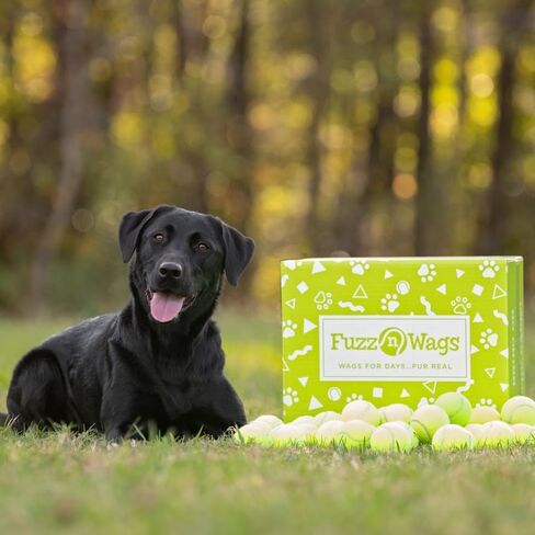 25-100 Used Tennis Balls for Dogs - Support USA Tennis Ball Recycling NonProfit: Bulk Tennis Balls for Dogs, Tennis Balls for Dogs Bulk, Dog Tennis Balls Bulk, Tennis Balls Bulk for Dogs (25 Balls) in Saudi Arabia
