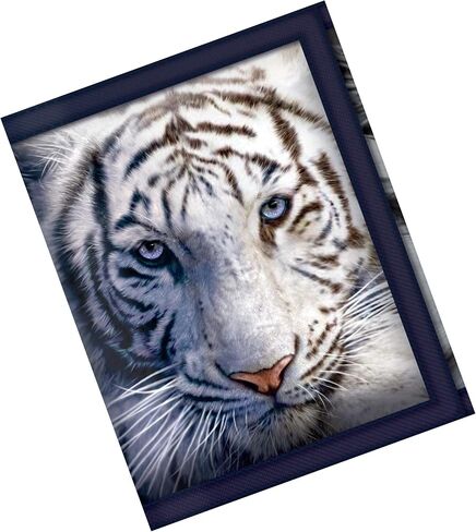 3D LiveLife Wallets - Penguin Plunge from Deluxebase. Lenticular 3D Ocean Wallet. Cash, coin and card holder with artwork licensed from renowned artist Michael Searle in Saudi Arabia