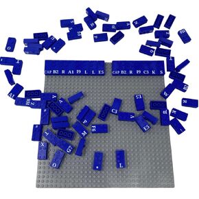 Braille Bricks for Blind Kids , Read and Learn, Click Braille Blocks onto Baseplate or Structures, Spell out Words or Names in Jumbo Braille, Fun Montessori Toy - By Blind in Mind, The Braille Superstore
