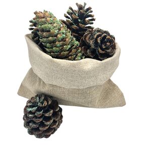 Magic Rainbow Flames - Flame Color Changing Pine Cones